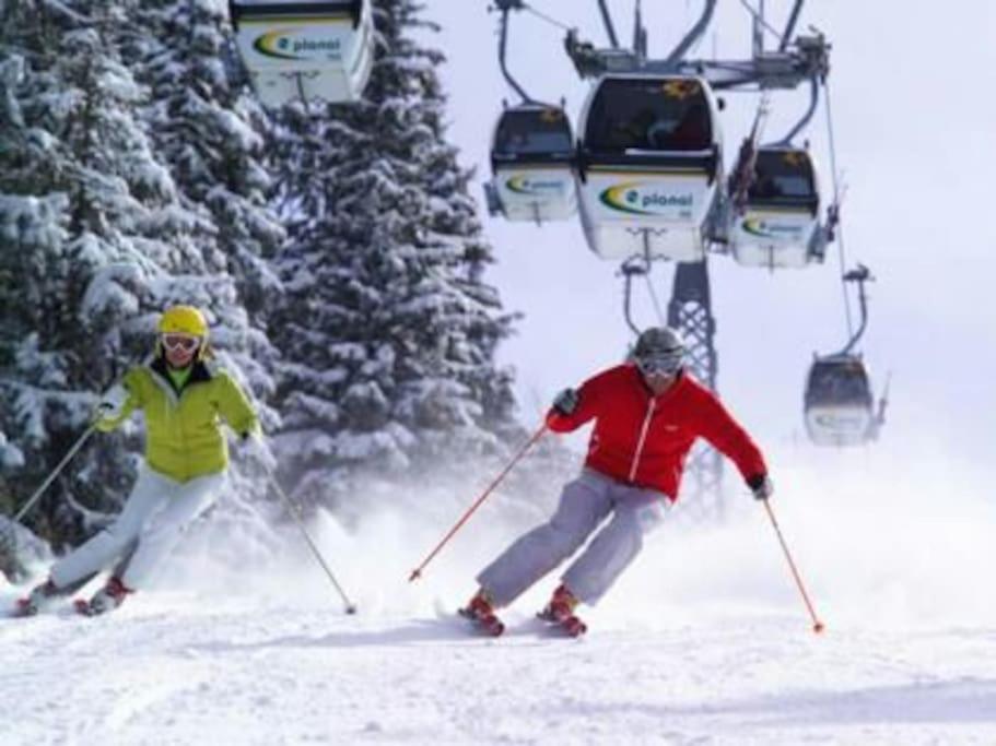 Sunrise Apartment Schladming Zewnętrze zdjęcie