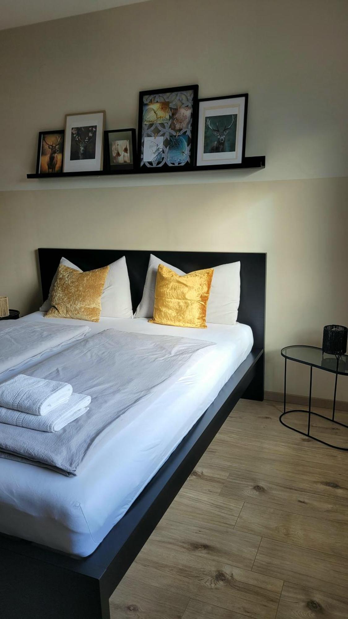 Sunrise Apartment Schladming Zewnętrze zdjęcie